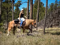घोड़ा, Gypsy horse — फ़ोटो 8