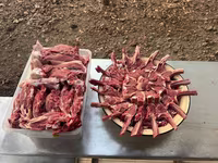 公羊, Rhon sheep — 照片 6