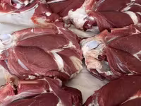 公羊, Sheep — 照片 7
