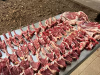公羊, Rhon sheep — 照片 7
