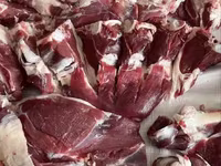 公羊, Sheep — 照片 6