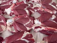 公羊, Rhon sheep — 照片 5