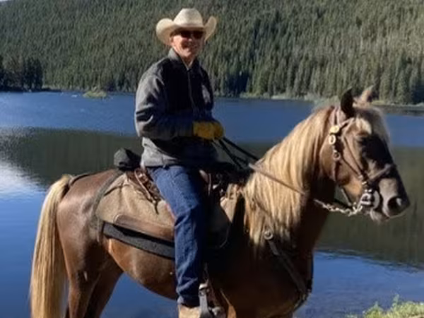 Horse (M), Rocky Mountain Horse